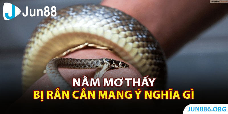 Nằm mơ thấy bị rắn cắn đánh con nào?